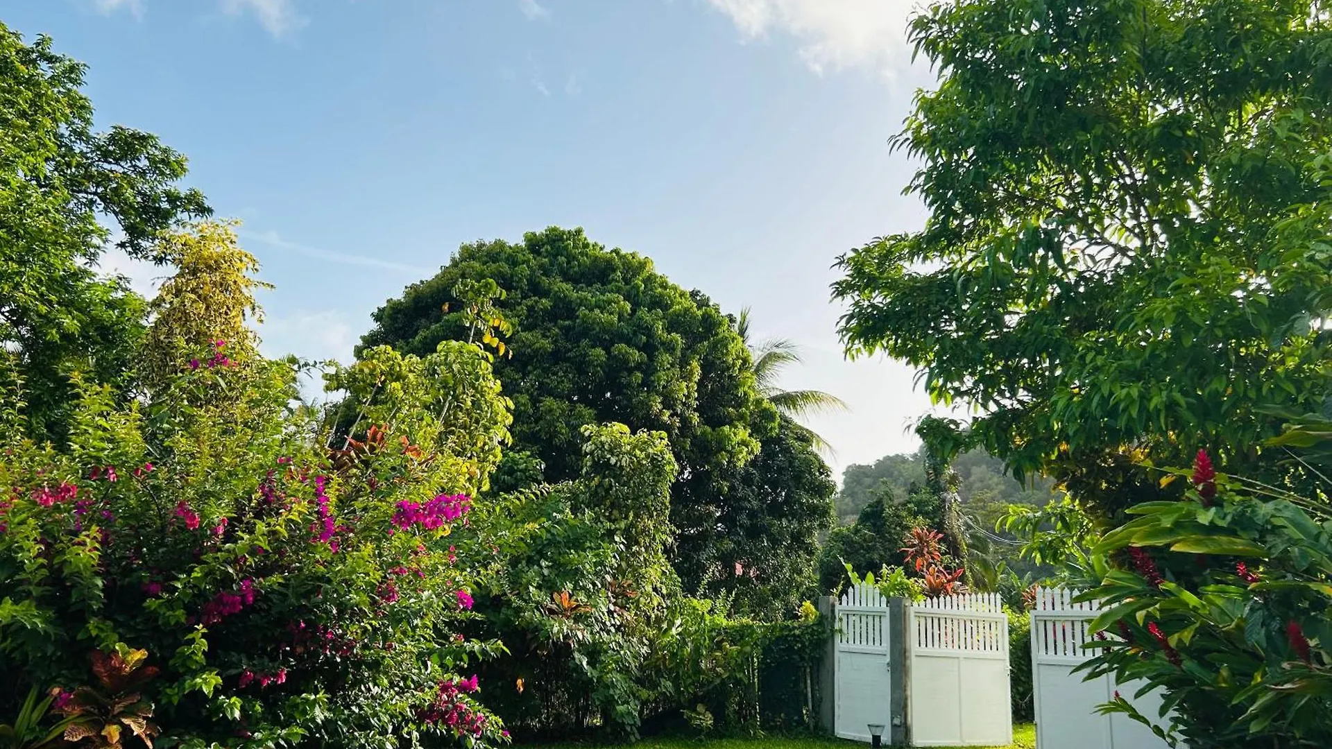 Carre Vert Guadeloupe Villa Privee Piscine Gourbeyre